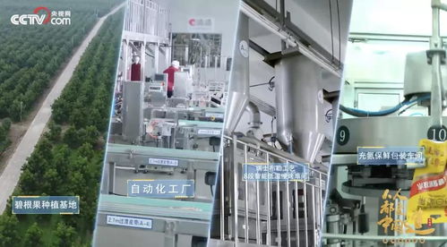 透明工廠再揭面紗 央視鏡頭下的洽洽，如何以技術內核引領堅果行業新鮮革命